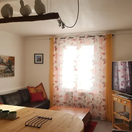 Entier Dans Un Espace De Verdure