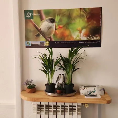 Entier Dans Un Espace De Verdure Apartament