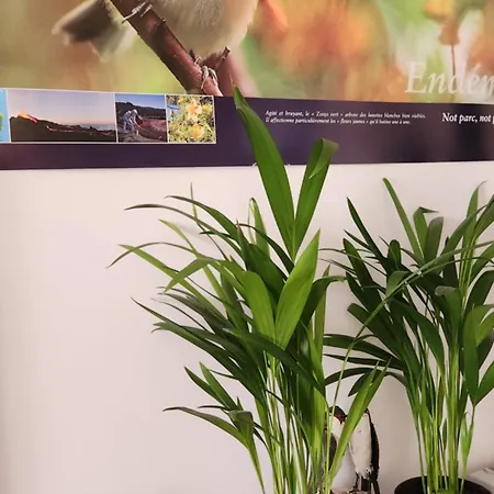 Entier Dans Un Espace De Verdure Perpignan