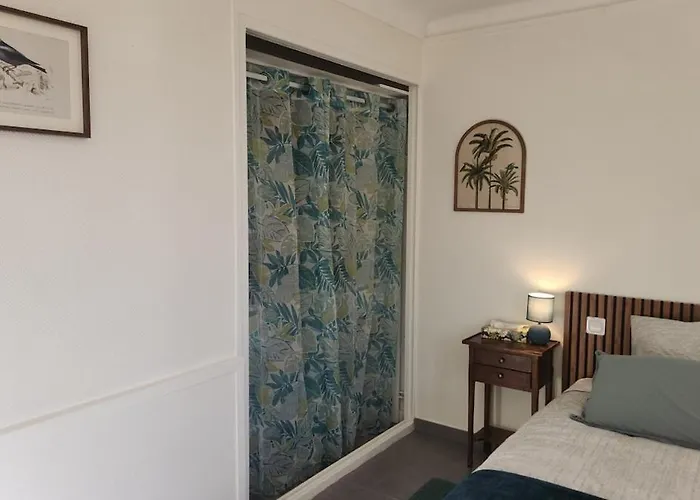 Entier Dans Un Espace De Verdure *