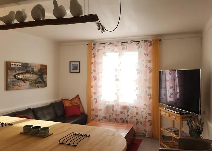 Entier Dans Un Espace De Verdure Perpignan