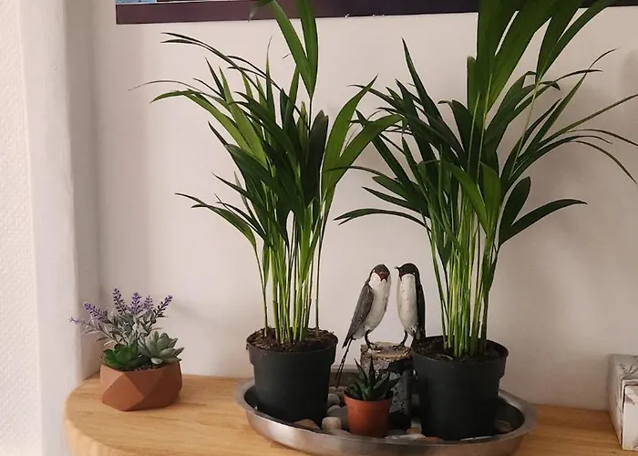 Entier Dans Un Espace De Verdure