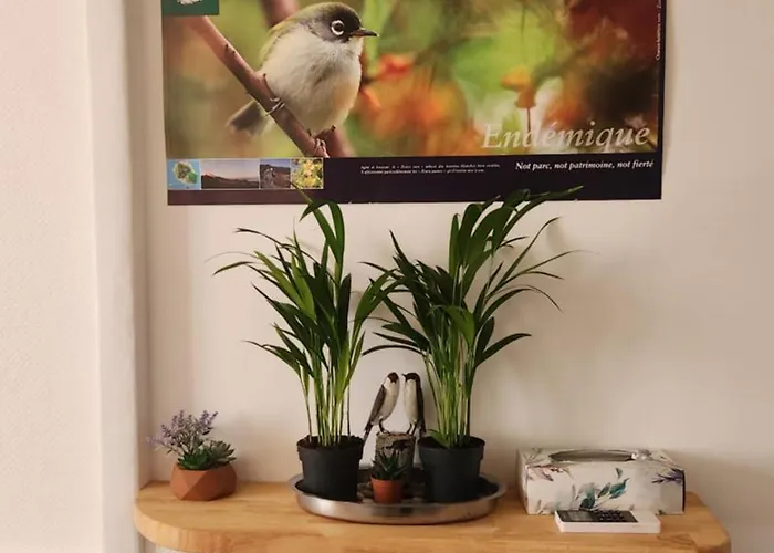 Entier Dans Un Espace De Verdure דירה